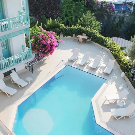 Silent Turkuaz Sarigerme