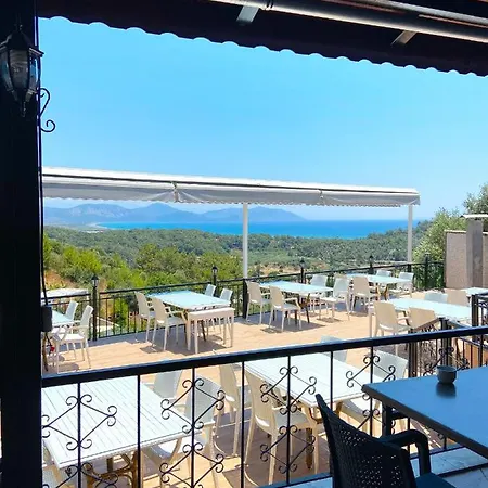 Silent Turkuaz Sarigerme